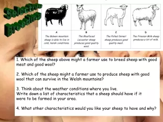 1. Which of the sheep above might a farmer use to breed sheep with good meat and good wool?