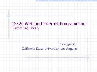 CS320 Web and Internet Programming Custom Tag Library
