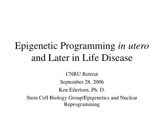 Epigenetic Programming  in utero  and Later in Life Disease