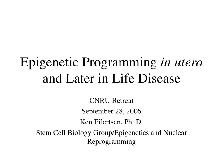 epigenetic programming in utero and later in life disease