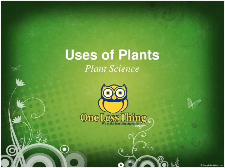 uses of plants