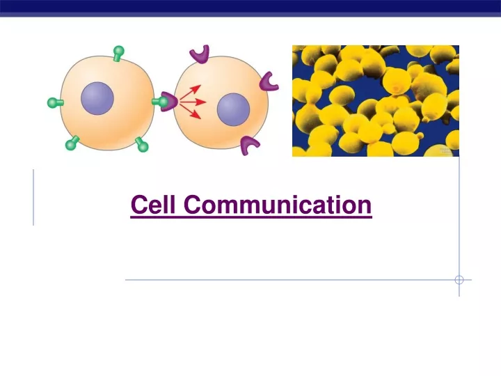 cell communication