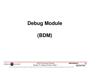 Debug Module        (BDM)