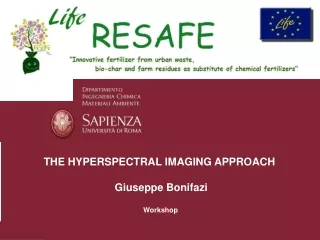THE HYPERSPECTRAL IMAGING APPROACH Giuseppe Bonifazi Workshop