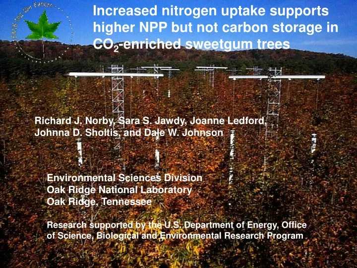increased nitrogen uptake supports higher