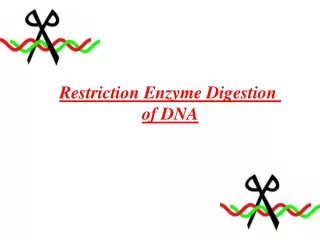 Restriction Enzyme Digestion  of DNA