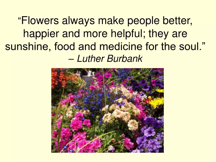 flowers always make people better happier