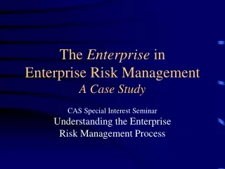 The  Enterprise  in  Enterprise Risk Management A Case Study