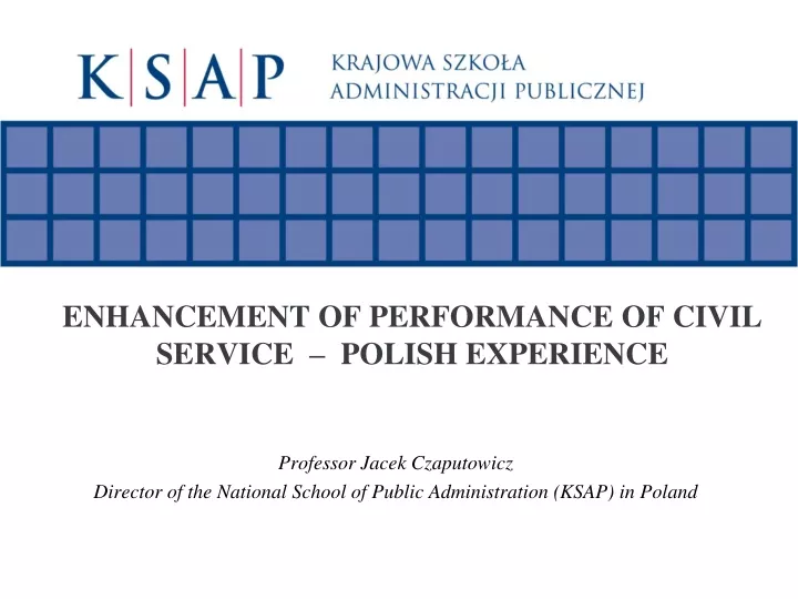 enhancement of performance of civil service polish experience