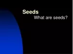 Seed Germination Process in Plants - slide 1