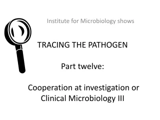 TRACING THE PATHOGEN Part  twelve :  Cooperation at investigation or Clinical Microbiology II I