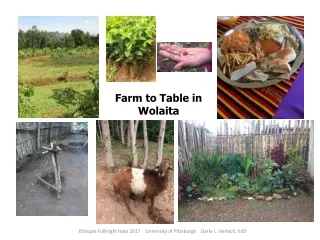 Farm to Table in Wolaita