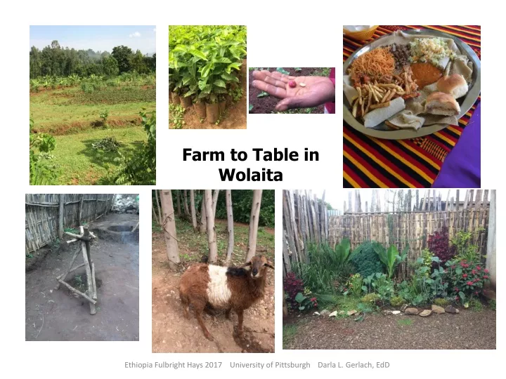 farm to table in wolaita