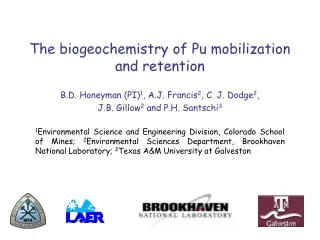 The biogeochemistry of Pu mobilization and retention