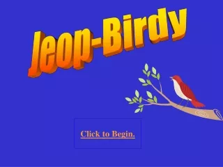 Jeop-Birdy