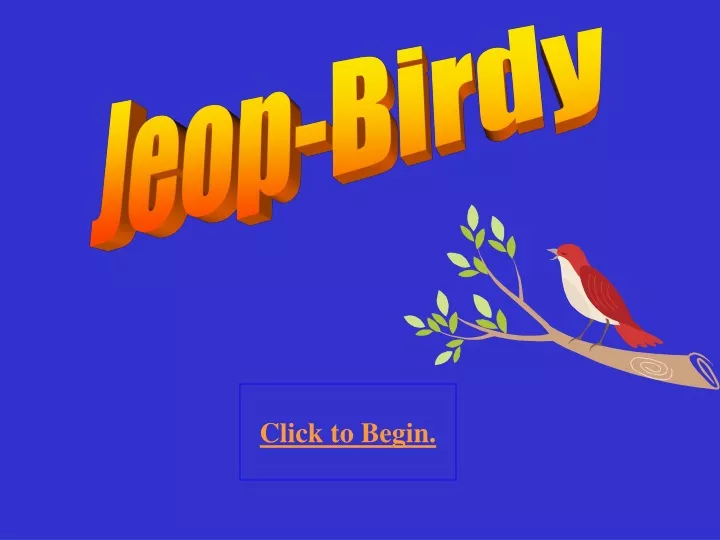 jeop birdy