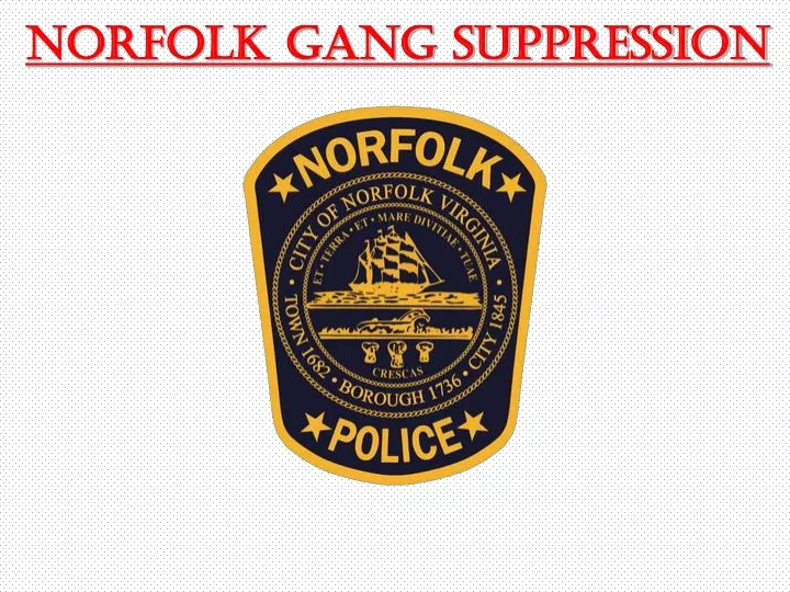 norfolk gang suppression