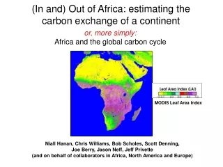 (In and) Out of Africa: estimating the carbon exchange of a continent