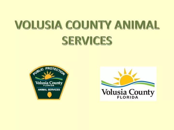 volusia county animal services