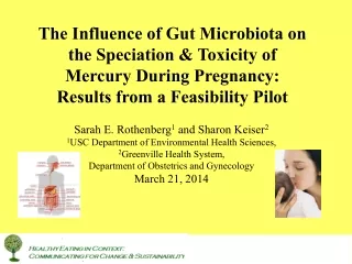 The Influence of Gut Microbiota on the Speciation &amp; Toxicity of Mercury During Pregnancy: