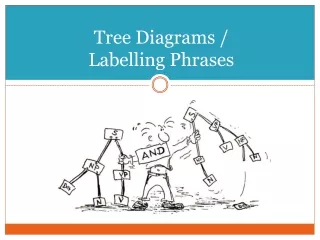 Tree Diagrams / Labelling Phrases