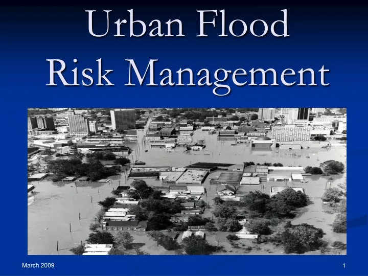 urban flood risk management