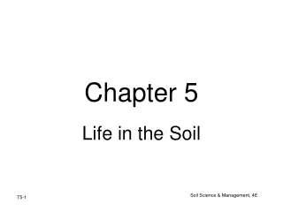 Chapter 5