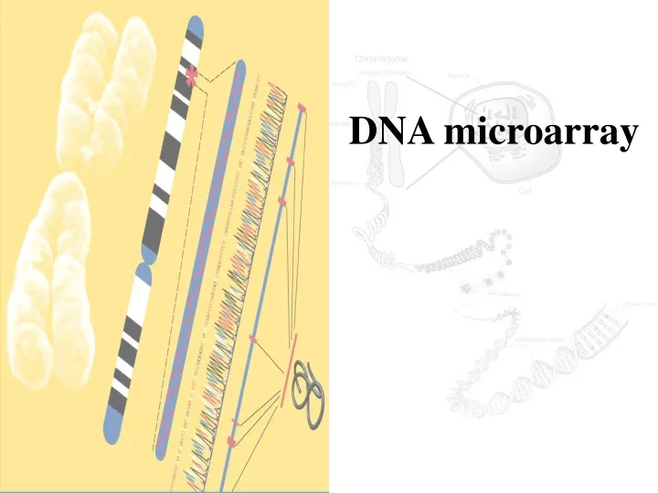 dna microarray