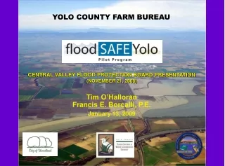 CENTRAL VALLEY FLOOD PROTECTION BOARD PRESENTATION (NOVEMBER 21, 2008)