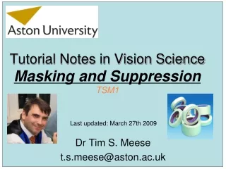Tutorial Notes in Vision Science Masking and Suppression TSM1