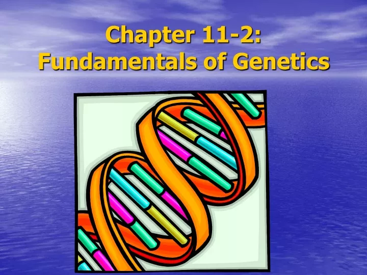 chapter 11 2 fundamentals of genetics