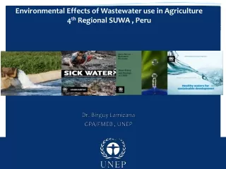 Environmental Effects of Wastewater use in Agriculture 4 th  Regional SUWA , Peru