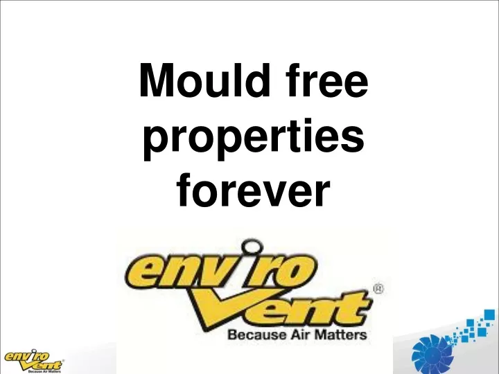 mould free properties forever