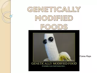 GENETICALLY  MODIFIED  FOODS