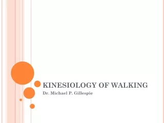 KINESIOLOGY OF WALKING