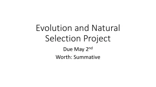 Evolution and Natural Selection Project
