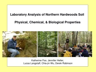Laboratory Analysis of Northern Hardwoods Soil  Physical, Chemical, &amp; Biological Properties