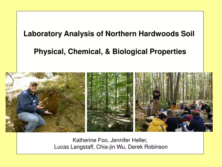 laboratory analysis of northern hardwoods soil