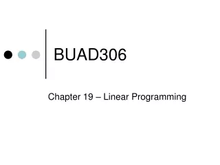 BUAD306