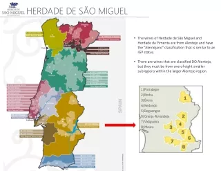 HERDADE DE SÃO MIGUEL