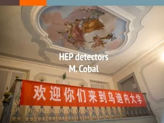 HEP detectors M.  Cobal