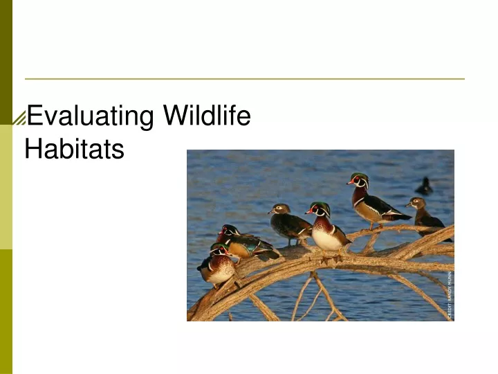evaluating wildlife habitats
