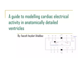 A guide to modelling cardiac electrical activity in anatomically detailed ventricles