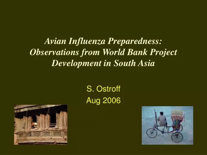 avian influenza preparedness observations from world bank project development in south asia