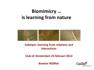 Biomimicry … is learning from nature