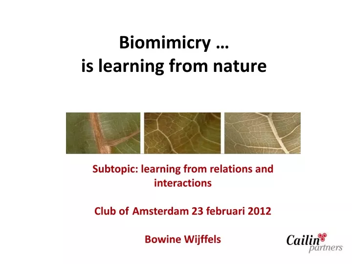 biomimicry is learning from nature