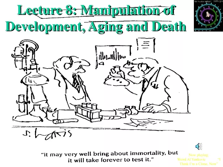 lecture 8 manipulation of development aging