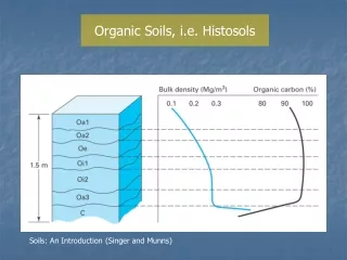 Organic Soils, i.e. Histosols