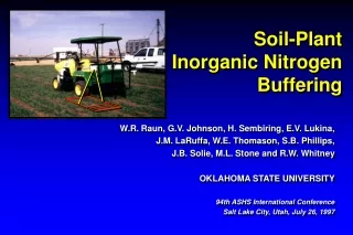 Soil-Plant  Inorganic Nitrogen  Buffering