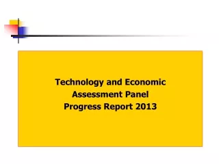 Technology and Economic  Assessment Panel  Progress Report 2013